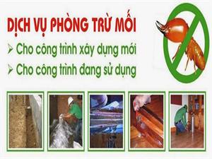 Diệt mối tại Đà Nẵng | diet moi tai Da Nang - 0905.756.836